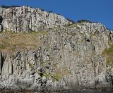 103-102.jpeg - 2023:10:10 23:58:37