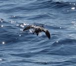 119.jpeg - 2023:10:11 00:40:52