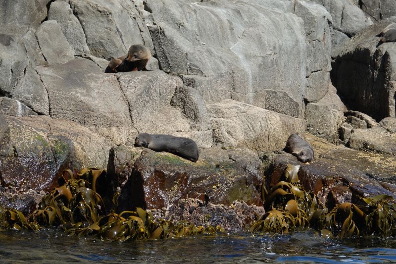 Viewing photos→2023→2023-10-05→126