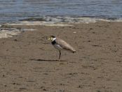 143.jpeg - 2023:10:11 03:17:45