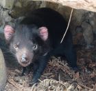 147.jpeg - 2023:10:11 04:15:20