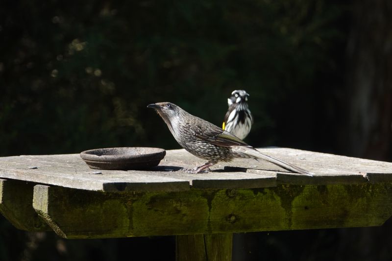 Viewing photos→2023→2023-10-05→150