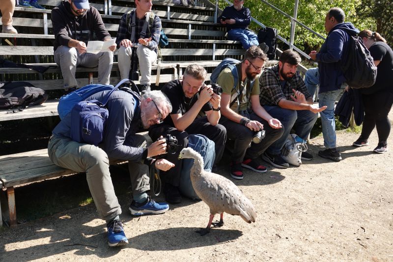 Viewing photos→2023→2023-10-05→158