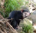 160.jpeg - 2023:10:11 04:45:14