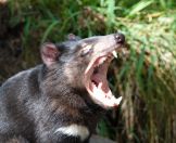 164.jpeg - 2023:10:11 04:52:51