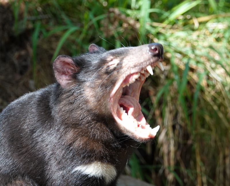 Viewing photos→2023→2023-10-05→164