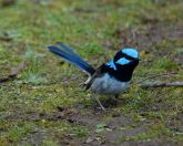 177.jpeg - 2023:10:11 05:33:08