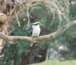 180.jpeg - 2023:10:11 05:44:37