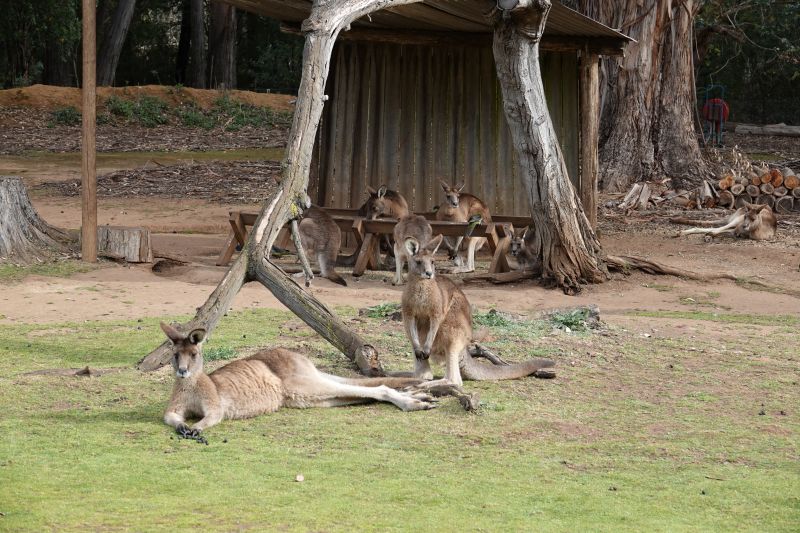 Viewing photos→2023→2023-10-05→181