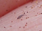 014.jpeg - 2023:10:06 03:28:08