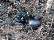 015.jpeg - 2023:10:06 03:32:39