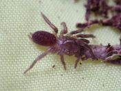 021.jpg - 2023:10:06 03:43:57