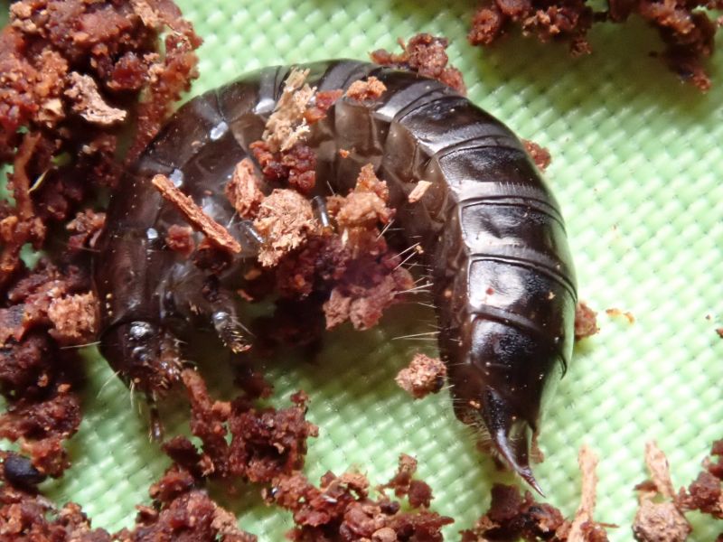 Viewing photos→2023→2023-10-06→022