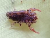 023.jpg - 2023:10:06 03:48:42