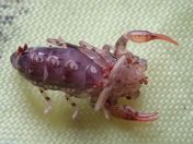 024.jpg - 2023:10:06 03:49:20