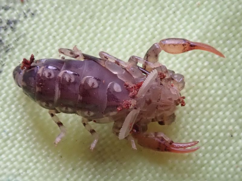 Viewing photos→2023→2023-10-06→024