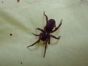 025.jpg - 2023:10:06 03:49:42