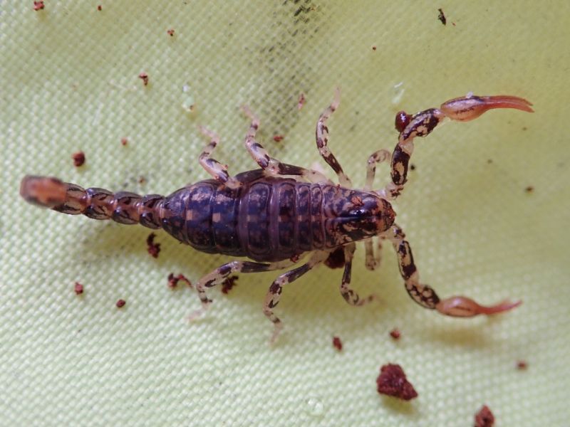 Viewing photos→2023→2023-10-06→026