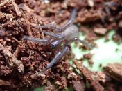 027.jpg - 2023:10:06 03:50:30