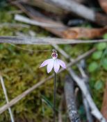 031.jpeg - 2023:10:06 04:04:40