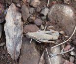 033.jpeg - 2023:10:06 04:16:18