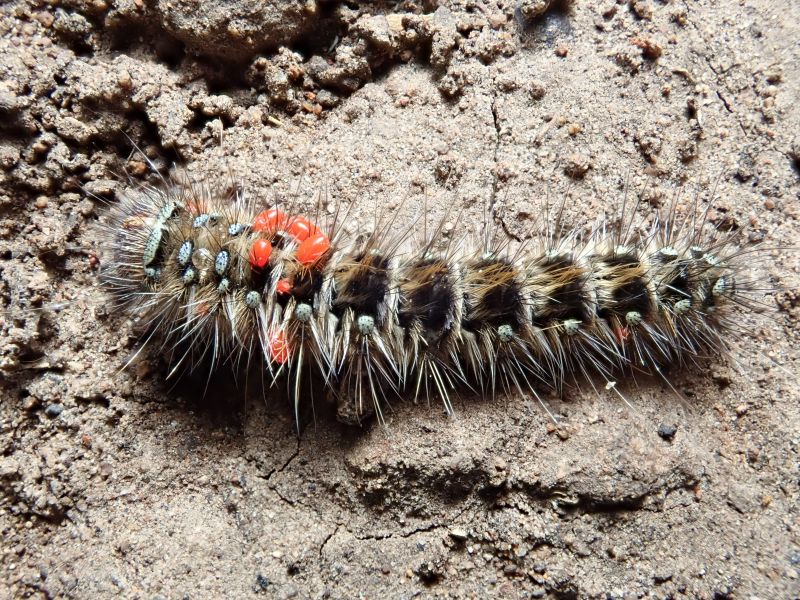 Viewing photos→2023→2023-10-06→034