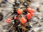 035.jpg - 2023:10:06 04:20:43