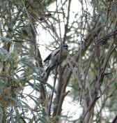 036.jpeg - 2023:10:06 04:28:26