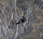 037.jpeg - 2023:10:06 04:31:46