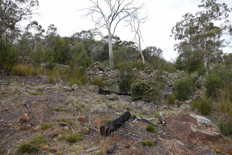 Viewing photos→2023→2023-10-06→038