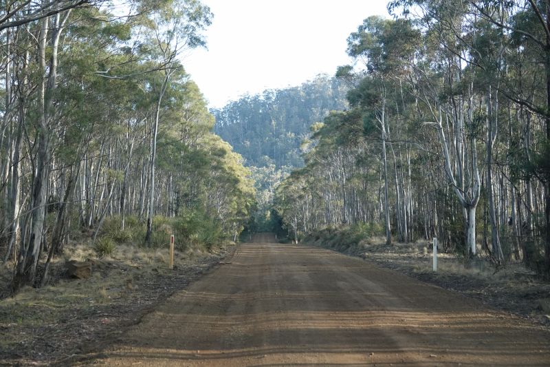 Viewing photos→2023→2023-10-06→053