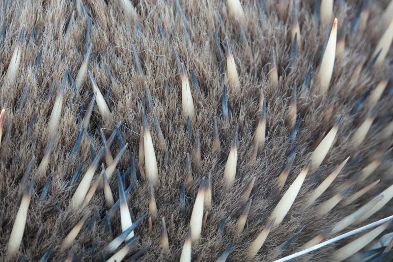 Viewing photos→2023→2023-10-06→057