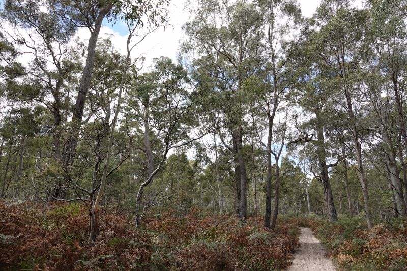 Viewing photos→2023→2023-10-06→061