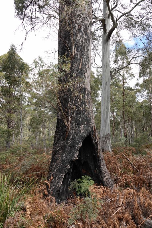 Viewing photos→2023→2023-10-06→063