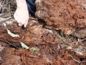 065.jpg - 2023:10:07 02:32:27