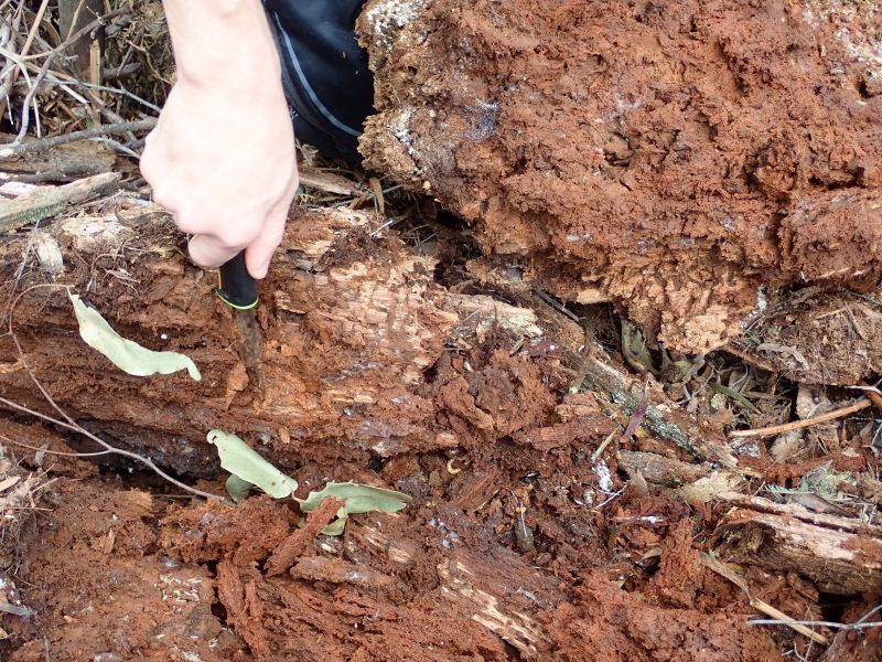 Viewing photos→2023→2023-10-06→065