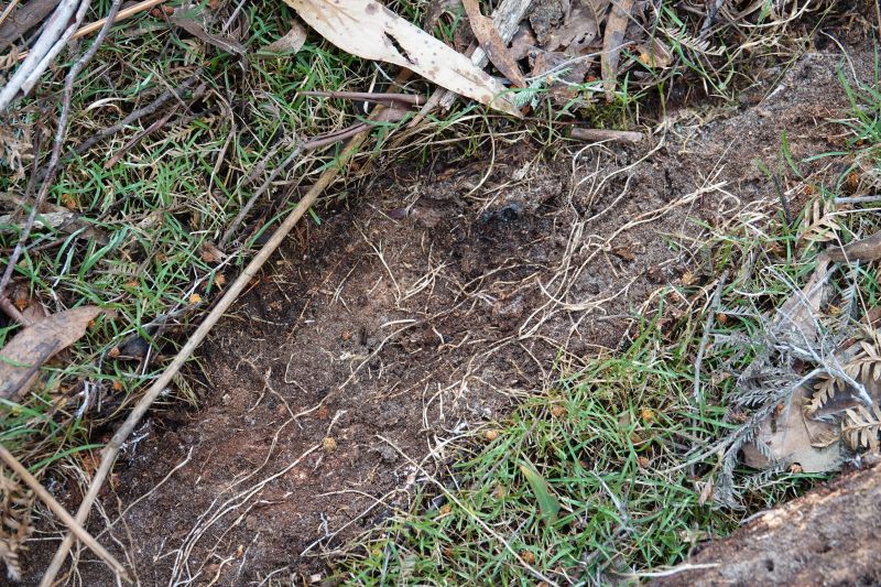 Viewing photos→2023→2023-10-06→069