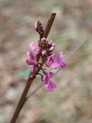 070.jpg - 2023:10:07 02:40:25