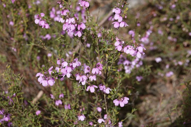 Viewing photos→2023→2023-10-06→071