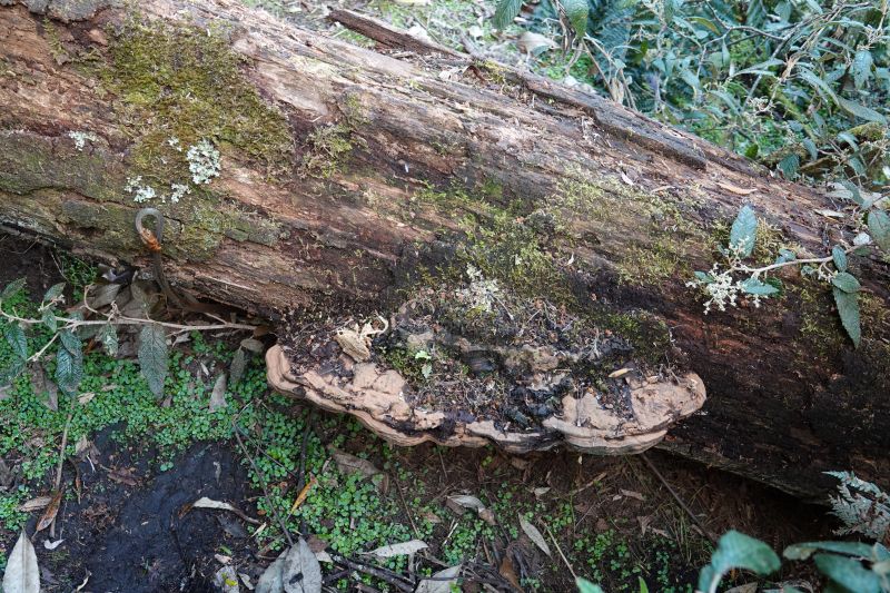 Viewing photos→2023→2023-10-06→084