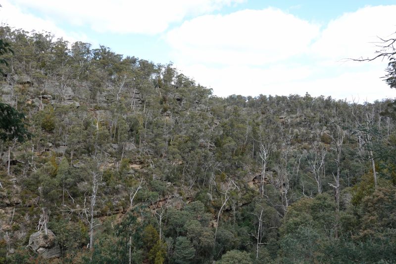 Viewing photos→2023→2023-10-06→094