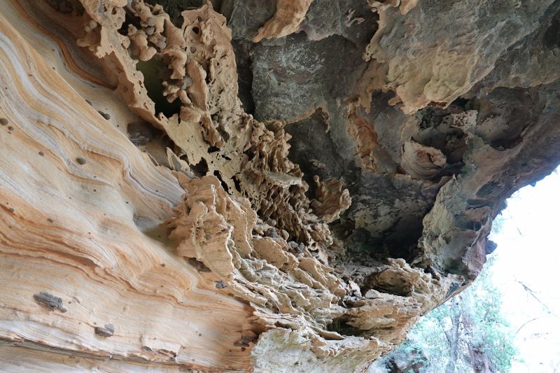 Viewing photos→2023→2023-10-06→097