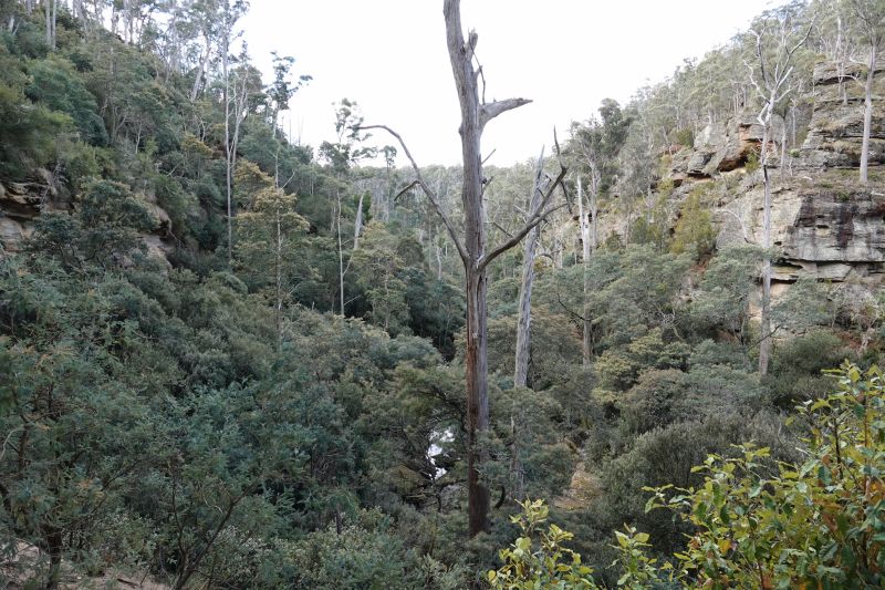 Viewing photos→2023→2023-10-06→102