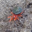 110.jpeg - 2023:10:07 05:41:54