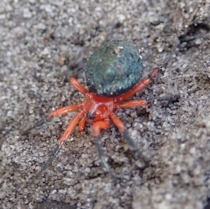 Viewing photos→2023→2023-10-06→110