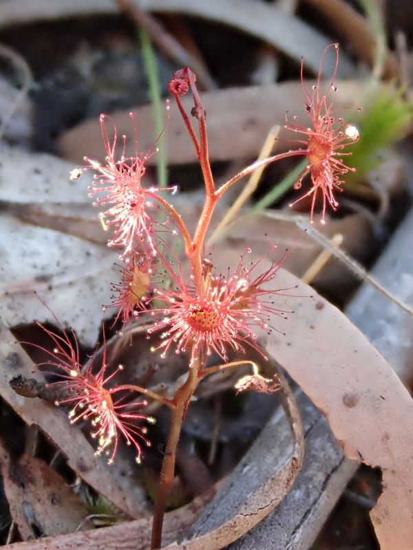 Viewing photos→2023→2023-10-06→118