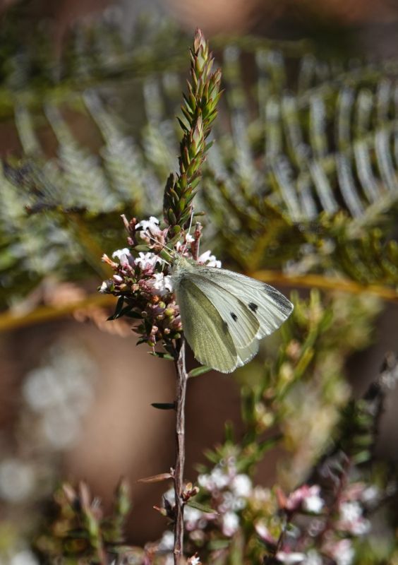 Viewing photos→2023→2023-10-06→120