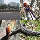 2023-10-15 - 2023-10-18<br/>
<b>Canberra, Australia</b>
