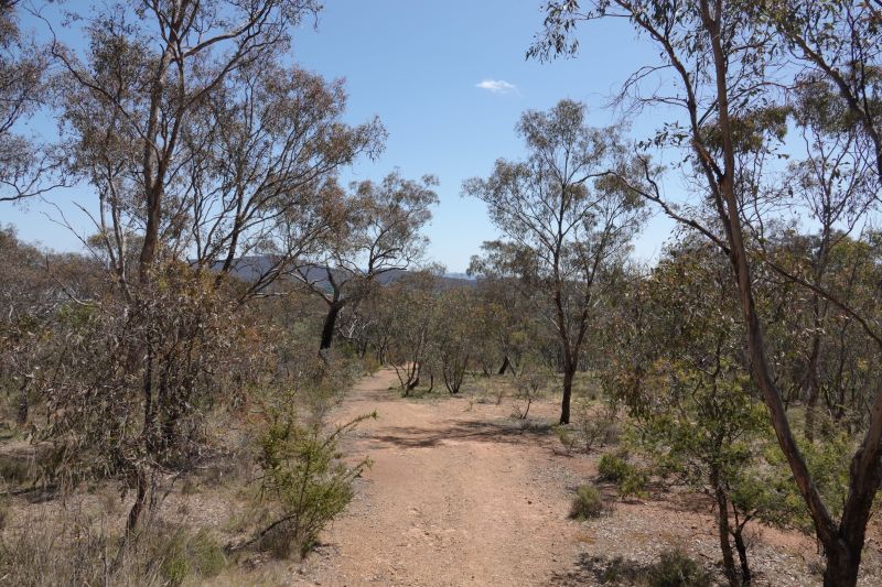 Viewing photos→2023→2023-10-15→04