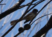 06.jpeg - 2023:10:18 02:42:16